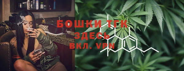 шишки Протвино