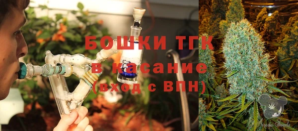 шишки Протвино